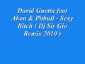 David Guetta feat Akon & Pitbull - Sexy Bitch (Dj ...