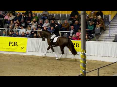 12 Take That und 45 Be my Dancer_PB Schau Verden 2023