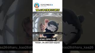 ㅇㅎ? 나도 금지