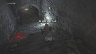 【ELDENRING】フロムゲー初心者の２人で王国を駆け回る！#2