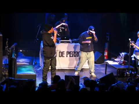 ACDP zoo juniors - kodi y tata freestyle