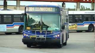preview picture of video 'Pace Bus: 2009 Eldorado EZ Rider II Route 384 Bus #2816 at Midway Airport Terminal'