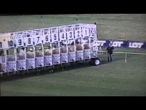 Nagroda Oaks - 1.08.2004 - Królowa Śniegu (Don Corleone - Królowa Balu)