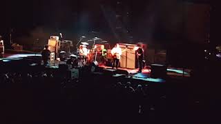 Sacred Paws - Everyday