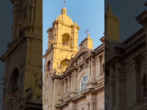 Entre música, color y tradición: así se vivió el pasacalle de la UNJBG en el corazón de Tacna. ✨🇵🇪