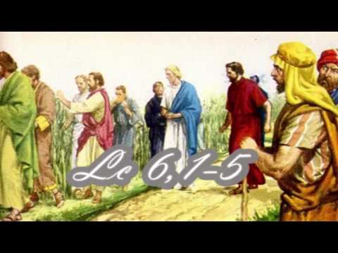 Evangelho 03/09/2016 (Lc 6,1-5)