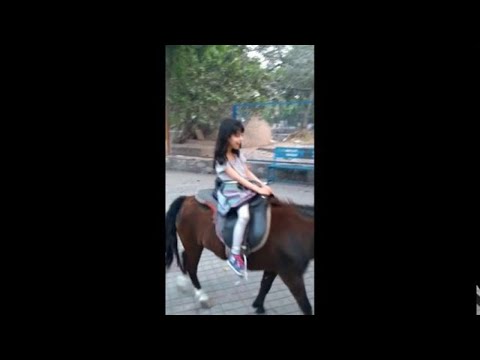 MAHD AND HABIBAH HORSE RIDING AT LAHORE ZOO | CHAMI FAMILY | CHAMI EXP | AT LAHORE ZOO