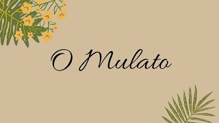 O Mulato - Resumo