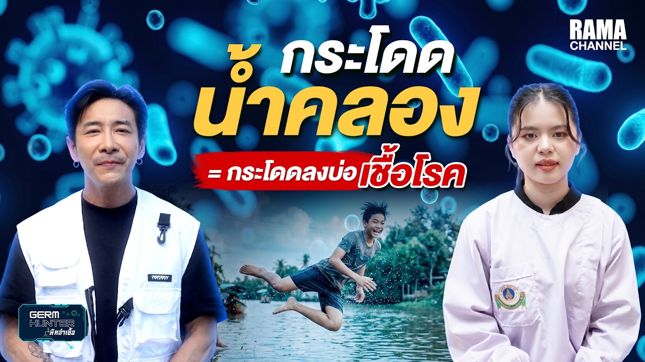 วิดีโอความรู้