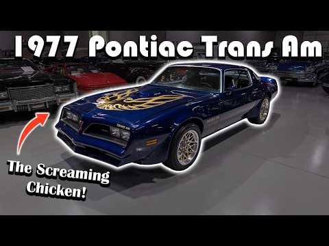 1977 Pontiac Firebird Trans Am (CC-2021272) for sale in Rogers, Minnesota