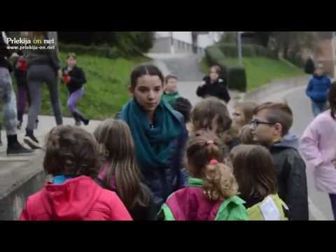 Komemoracija ob spomeniku žrtvam 2. svetovne vojne pri Mali Nedelji