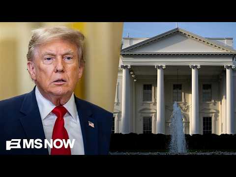 Michael Steele tears into Trump's newest White House construction project