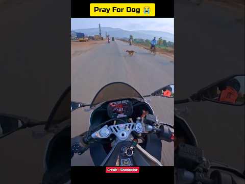 Dog Mistake😭🙏Motovlogs #ytshorts #bike #motovlog