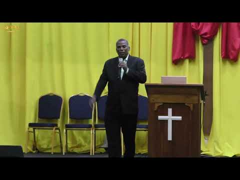 koninkrijk der hemelen