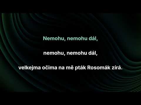 Olympic – Pták Rosomák (karaoke)