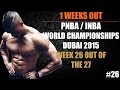 1 Week Out PNBA / INBA Natural Bodybuilding World's Dubai 2015 - #26