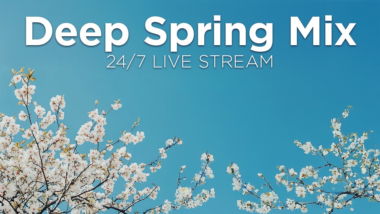 Deep Summer Mix 2024 ☀️🍹 24/7 Live Radio • Deep House Chill Out Music Mix by We Are Diamond