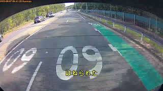 野生のカンガルーには注意しましょう。