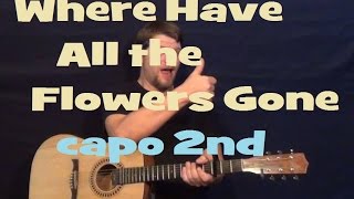 Where Have All the Flowers Gone (Pete Seeger) Guitar Lesson Easy Strum Chords How to Play Tutorial
