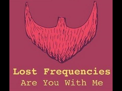 Lost Frequencies - Are You With Me (B3Cool MASHUP)
