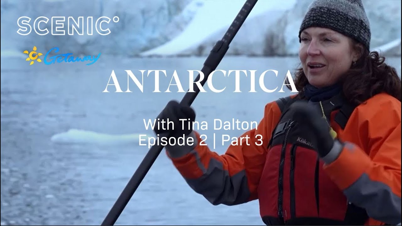 Antarctica: Wildlife & Wonder