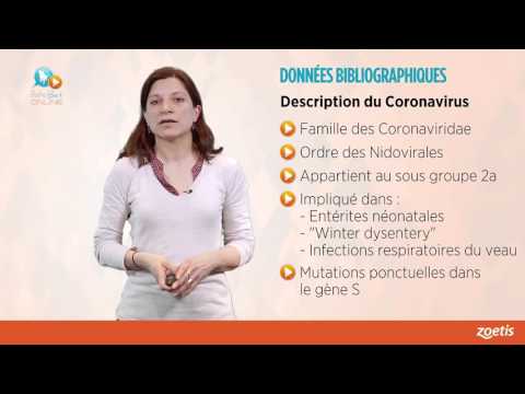 CLAIRE PELLETIER   Coronavirus Respiratoire Bovin BRCoV
