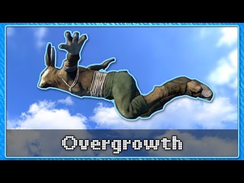Overgrowth FLYING MOD | Overgrowth