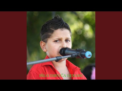 Išlo dievča lesami