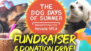 Dog Days of Summer Video