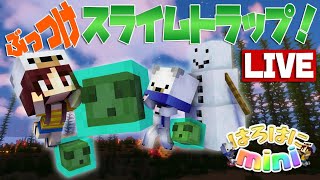 【はろミニ】ぶっつけ！スノウゴーレム式スライムトラップ！【LIVE】