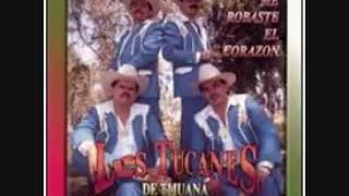Adivina Adivinador Los Tucanes De Tijiana