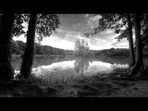 Narcotic 303 - Rainforest