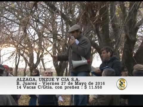 27-05-16 Venta de Vientres - Alzaga, Unzue y Cia S.A. - B.Juarez.