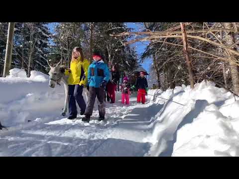 Mit Pferdchen, Pony und Eselchen durch den hoteleigenen Märchenwald - Kinderhotel Ramsi