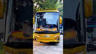 Download lagu Bus telolet basuri mp3