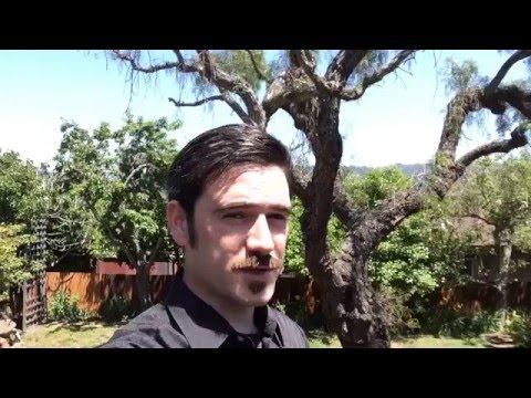 Dr. Jackson Crawford greets Grimfrost's followers.