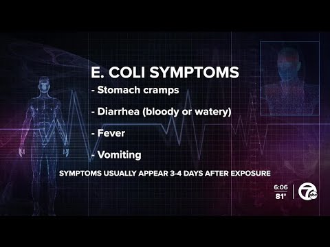 Ask Dr. Nandi: What are the symptoms of E. coli?