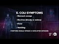 Ask Dr Nandi What Are The Symptoms Of E Coli