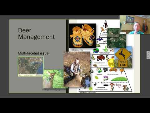 Managing Deer Browse for Forest Health