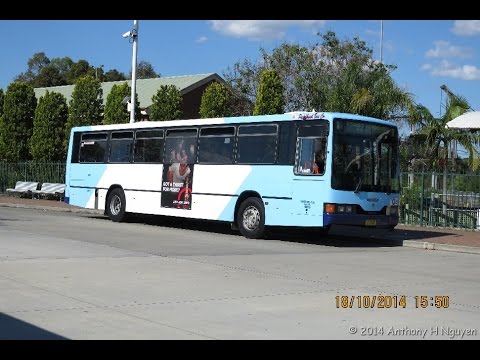 Punchbowl Bus Company [Riverwood] Scania L94IB / Custom Coaches 510, m/o 7028