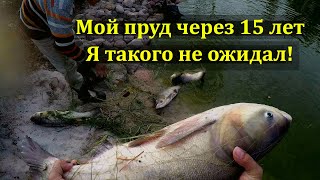 Пруд в деревне куракино рыбалка