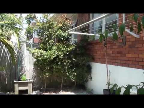 Auckland Houses for Rent - 3/51a Northboro Rd, Hauraki