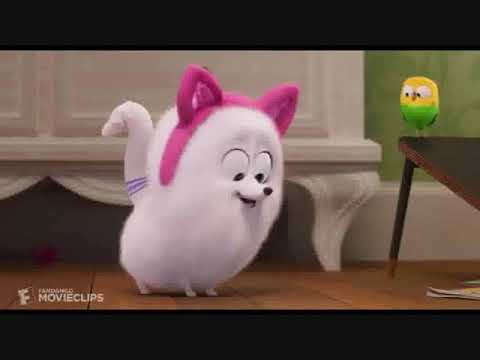 Gidgetrella Part 9: Sing Sweet Nightingale