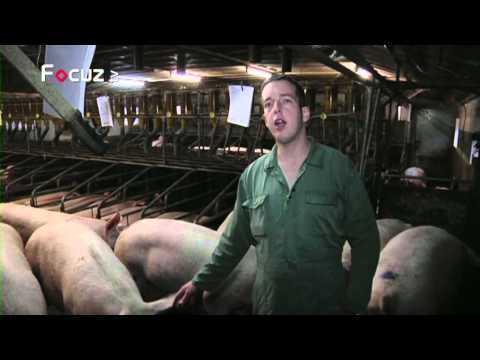 De Boer Op - aflevering 12 - 12 november 2013