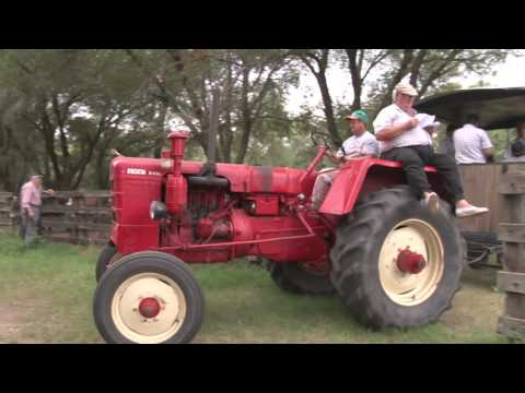 club del inversor ganadero remate