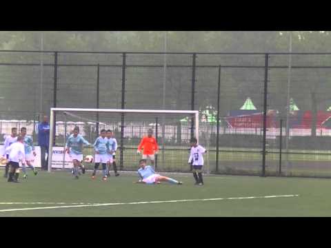 Samenvatting Blijdorp E6 -  Hermes DVS E3