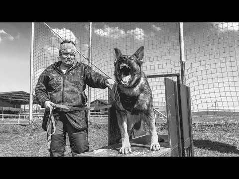 Warrior z Avarku - 4/2023