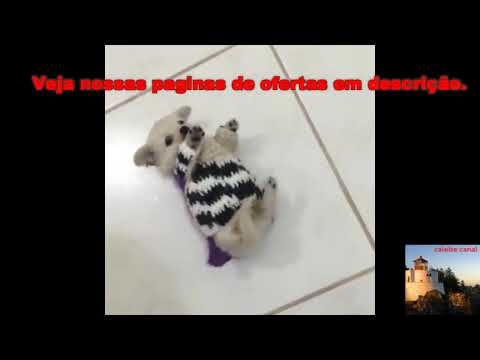 Carrocho preso pela roupa