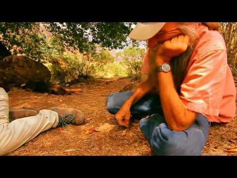 Sacred Dimension Wachuma Ceremony