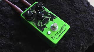 Video thumbnail for Earthquaker Devices Hummingbird V3 | repeat percussion tremolo by JJ of the T